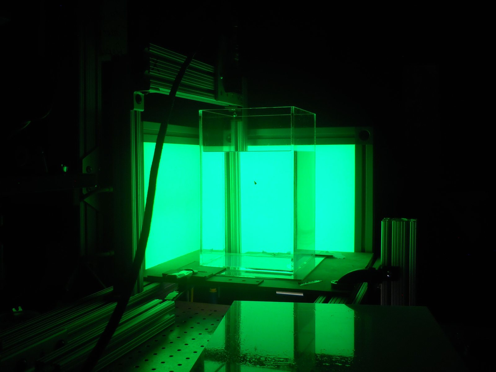 Experimental Setup